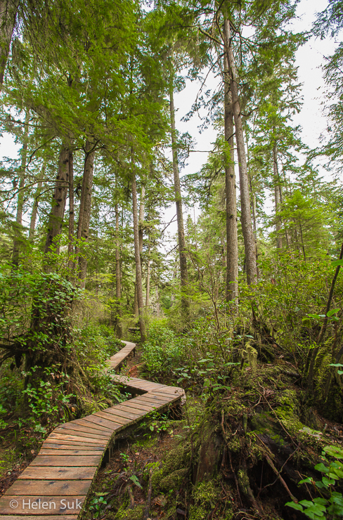 Vancouver Island Hiking in Tofino and Ucluelet